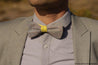 Querbinder Fliege für Herren grau gelb gemustert auf graues hemd und grauer anzug